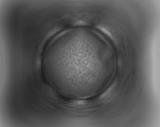 X0000088191309200705292004