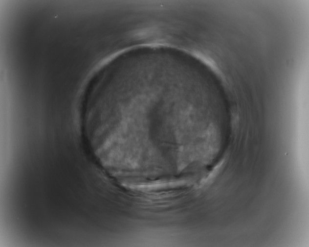 X0000088191311200705292004