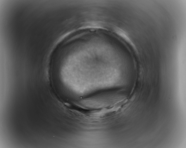 X0000088191312200705292004