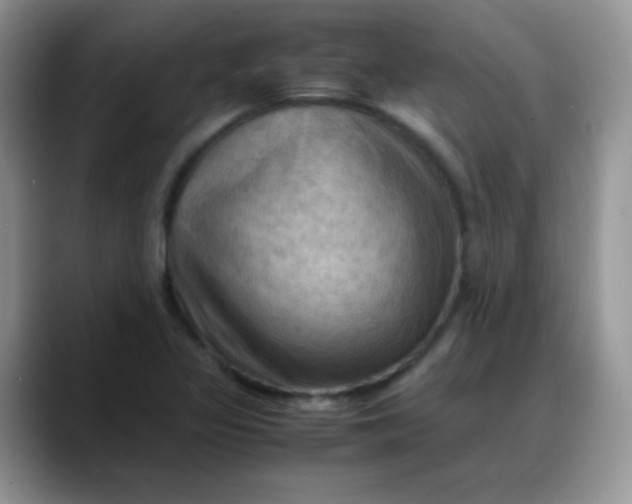 X0000088191317200705292004