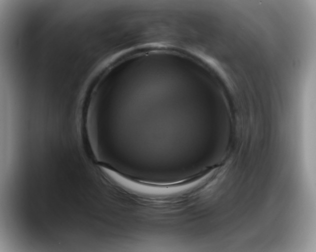 X0000088191319200705292004