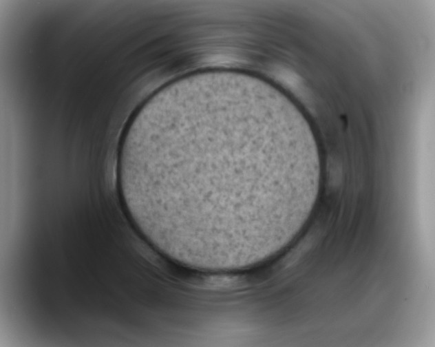 X0000088191322200705292004