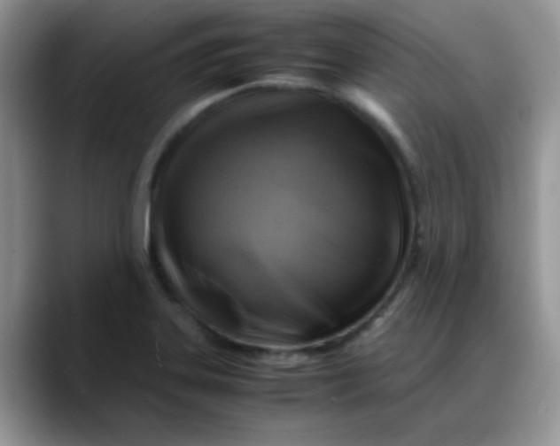 X0000088191323200705292004