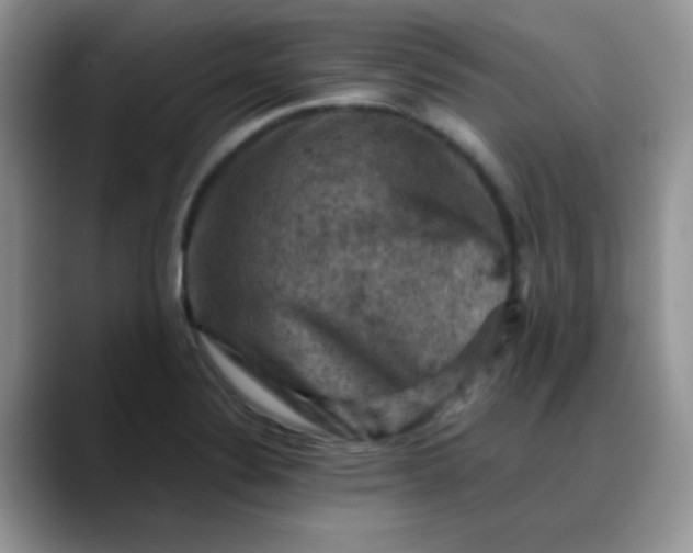 X0000088191324200705292004