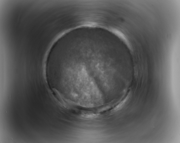 X0000088191326200705292004