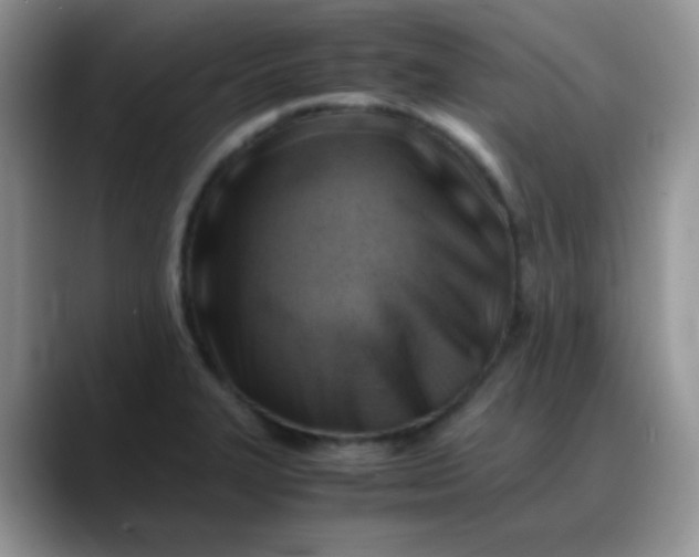 X0000088191327200705292004