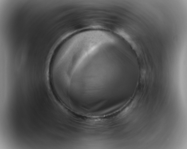 X0000088191331200705292004