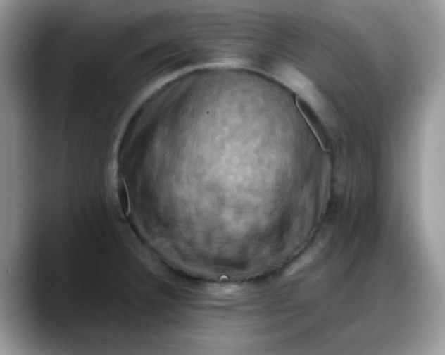 X0000088191332200705292004
