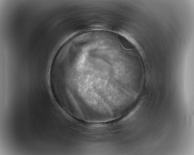 X0000088191333200705292004
