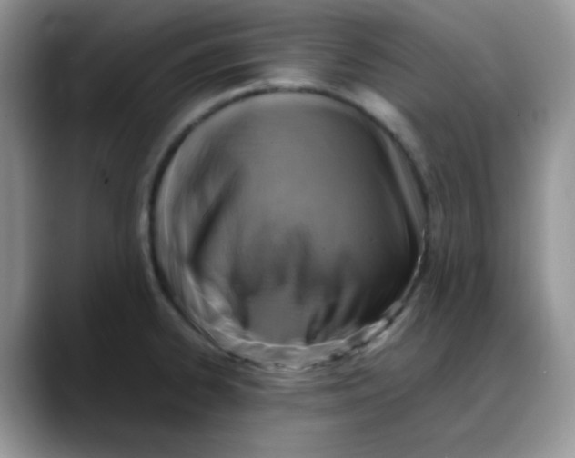 X0000088191334200705292004
