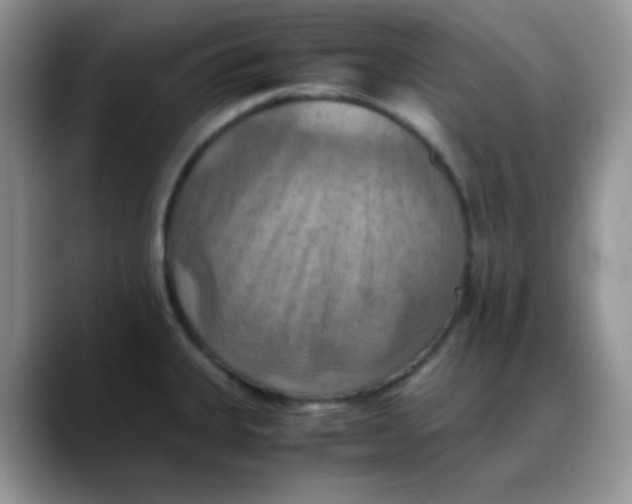 X0000088191335200705292004