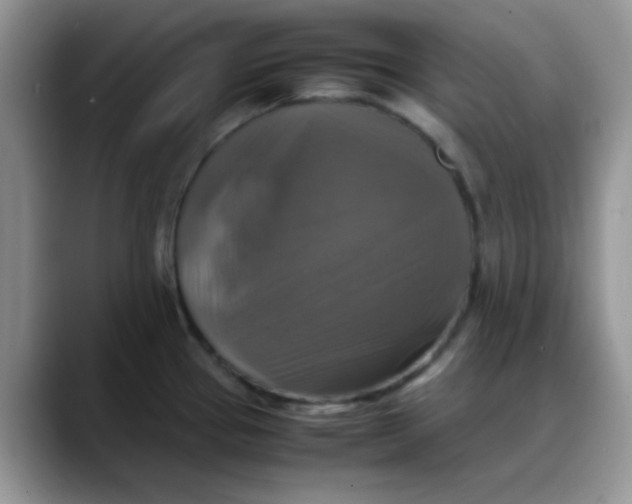 X0000088191337200705292004