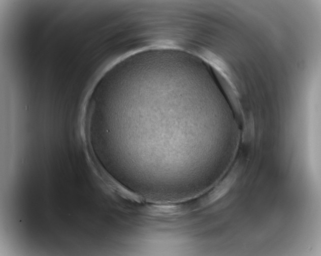 X0000088191342200705292004