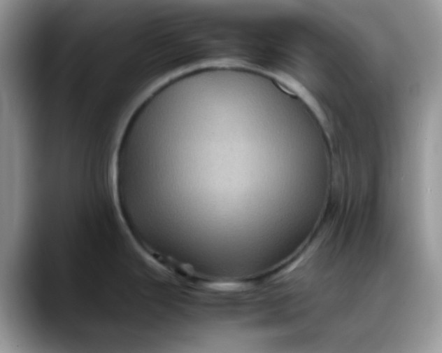 X0000088191343200705292004