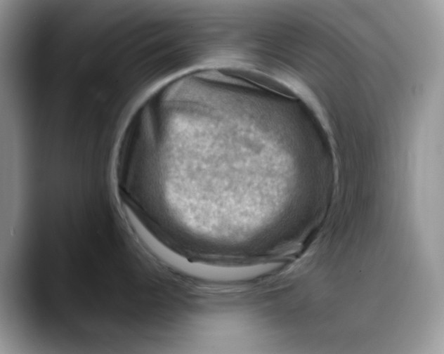 X0000088191344200705292004