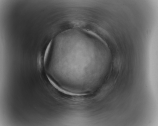 X0000088191346200705292004