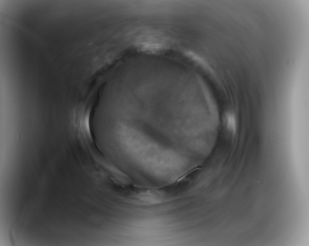 X0000088191348200705292004