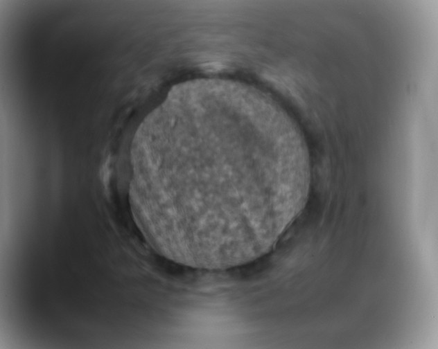 X0000088191349200705292004