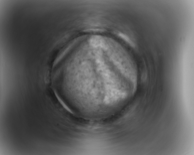 X0000088191350200705292004