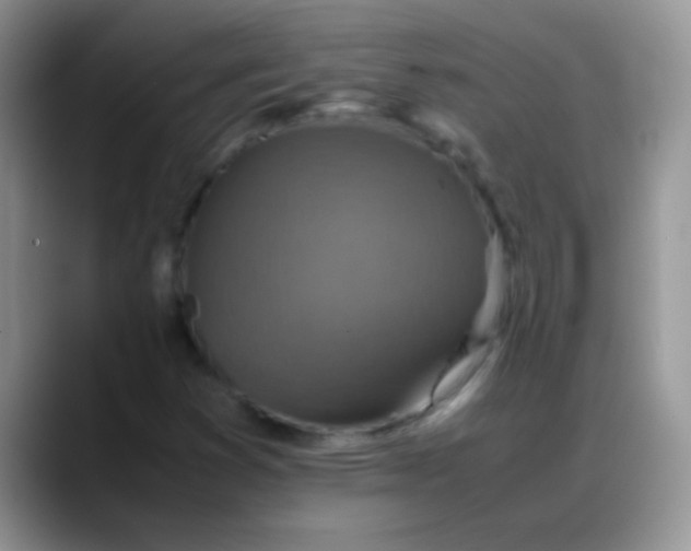 X0000088191353200705292004