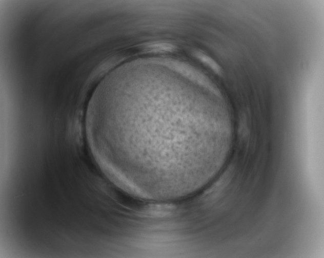 X0000088191354200705292004
