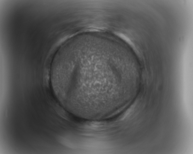 X0000088191355200705292004