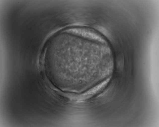 X0000088191356200705292004