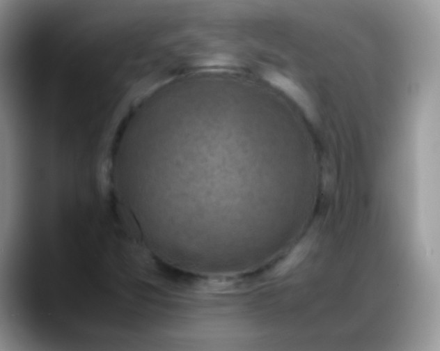 X0000088191357200705292004