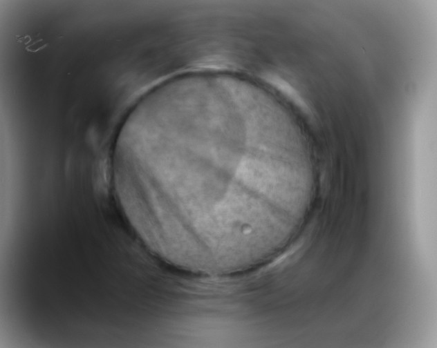 X0000088191358200705292004