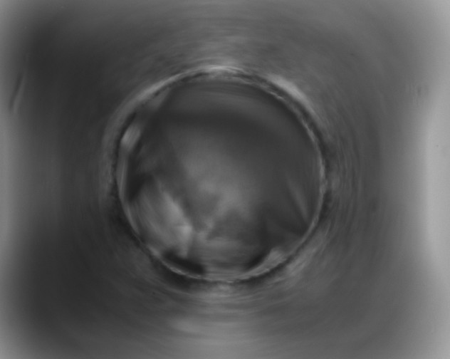 X0000088191359200705292004