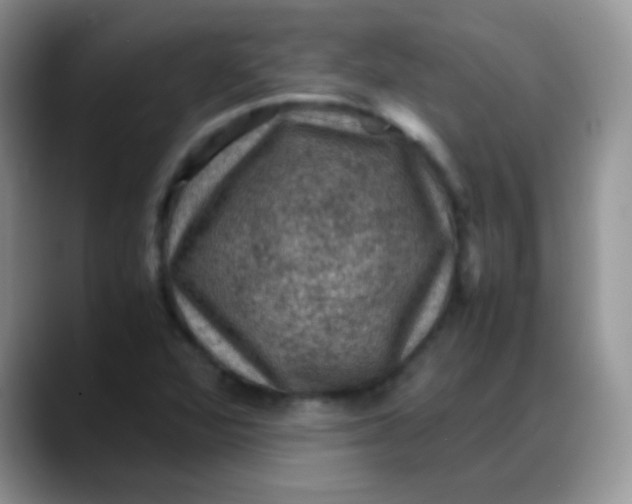 X0000088191360200705292004
