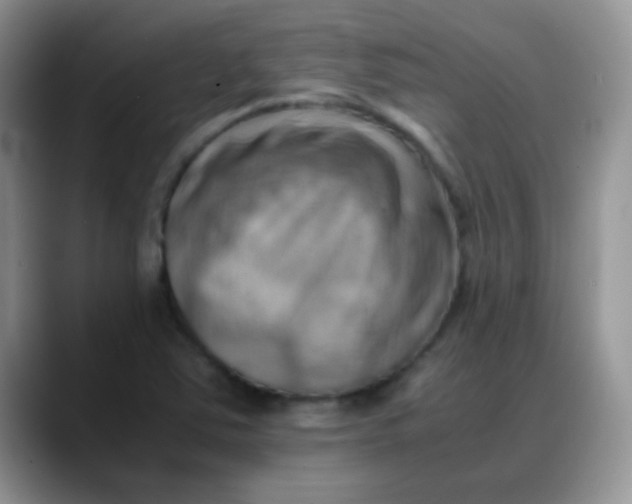 X0000088191363200705292003