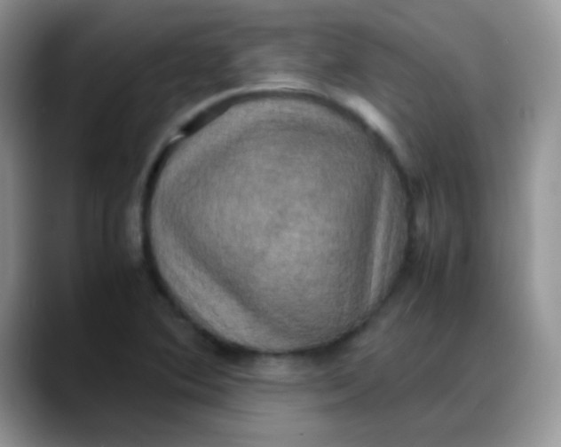 X0000088191364200705292003