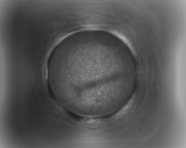 X0000088191365200705292003
