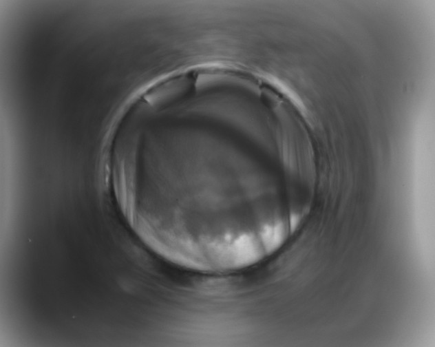 X0000088191367200705292003