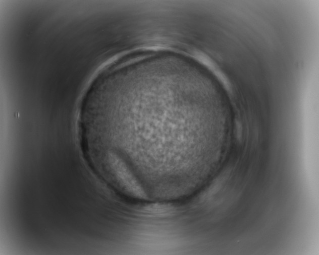 X0000088191368200705292003