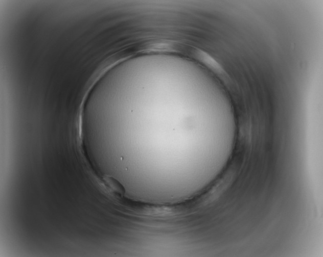 X0000088191370200705292003