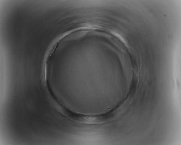 X0000088191371200705292003