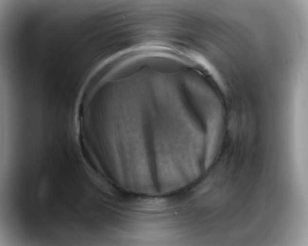 X0000088191372200705292003