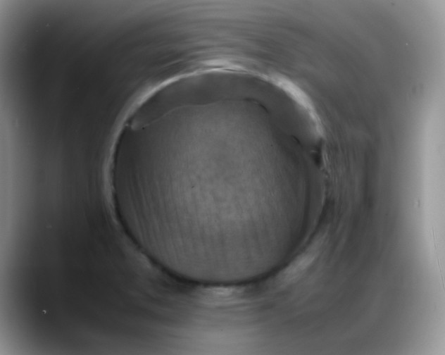 X0000088191373200705292003