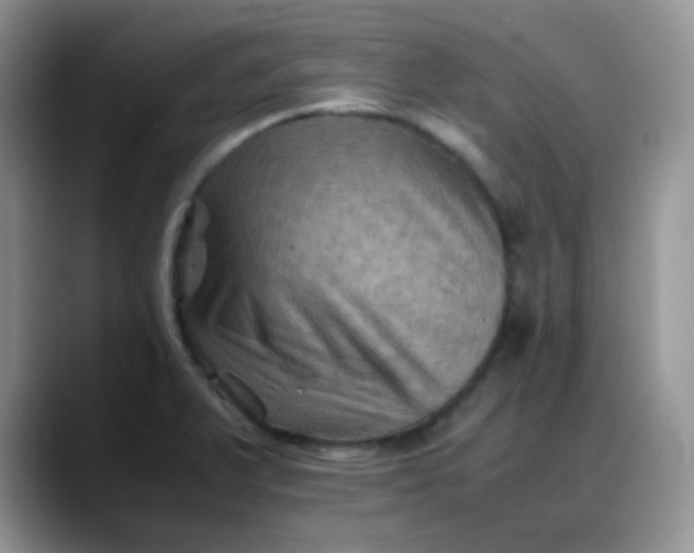 X0000088191375200705292003