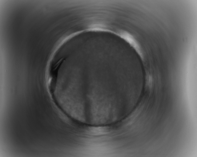X0000088191376200705292003