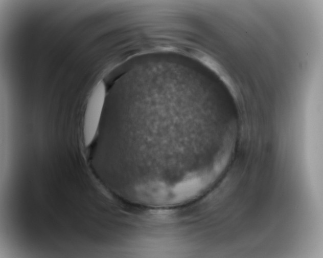 X0000088191377200705292003