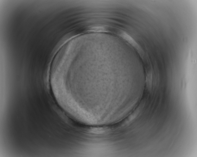 X0000088191378200705292003