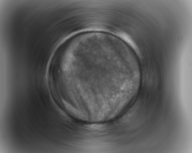 X0000088191380200705292003