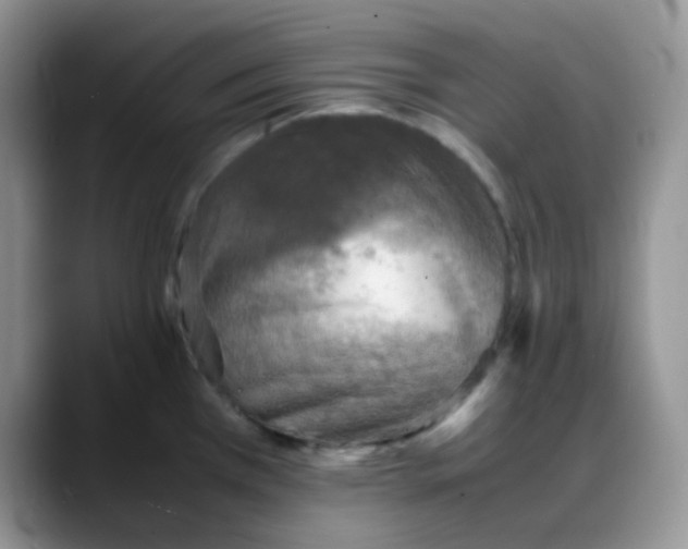 X0000088191385200705292003