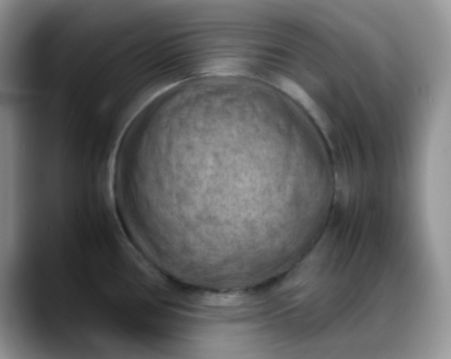 X0000088191386200705292003