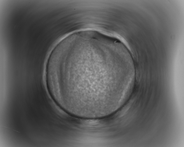 X0000088191387200705292003
