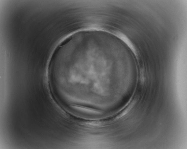 X0000088191388200705292003