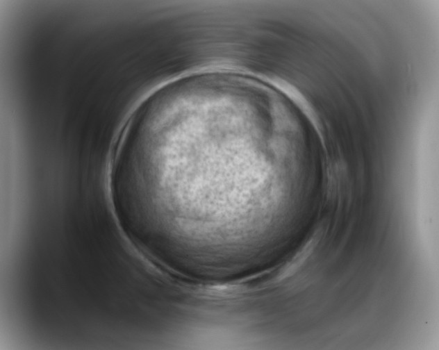 X0000088191390200705292003